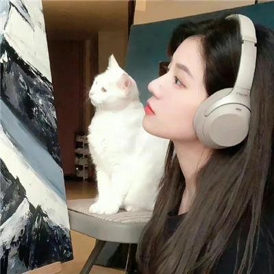 紫禁秘录